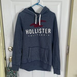 Hollister Men's Navy Hoodie